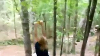 Funny Video: Mom Attempts a Zip Line and Does a Double Backflip