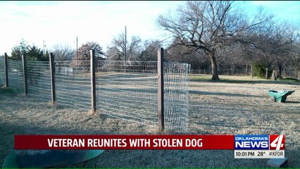 Download Video: Oklahoma Veteran Reunited With Stolen Dog