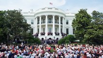 Iconic Jackson Magnolia Tree To Be Removed From White House Grounds