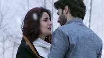 Katrina Kaif Hot Kissing Scene - Fitoor - 2016 HD