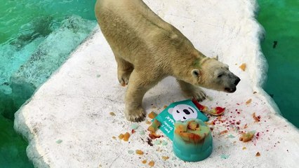 Un pastel de cumpleaños para Inuka