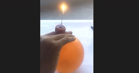 This Is A Video That Can Be Watched All Day Long!