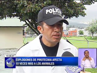 Riesgos para mascotas por ruido de pirotecnia