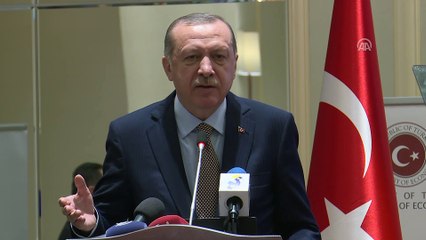 Erdoğan: 'Çad'ın teröre kurban edilmesini asla istemiyoruz' - ENCEMİNE