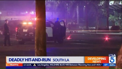 Woman Left to Die After Being Struck by Hit-and-Run Driver on Christmas