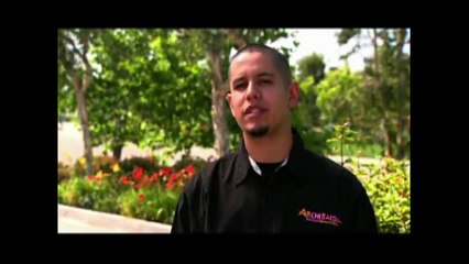 So. Many. Potatoes. | New York Goes To Work | OMG!RLY!?