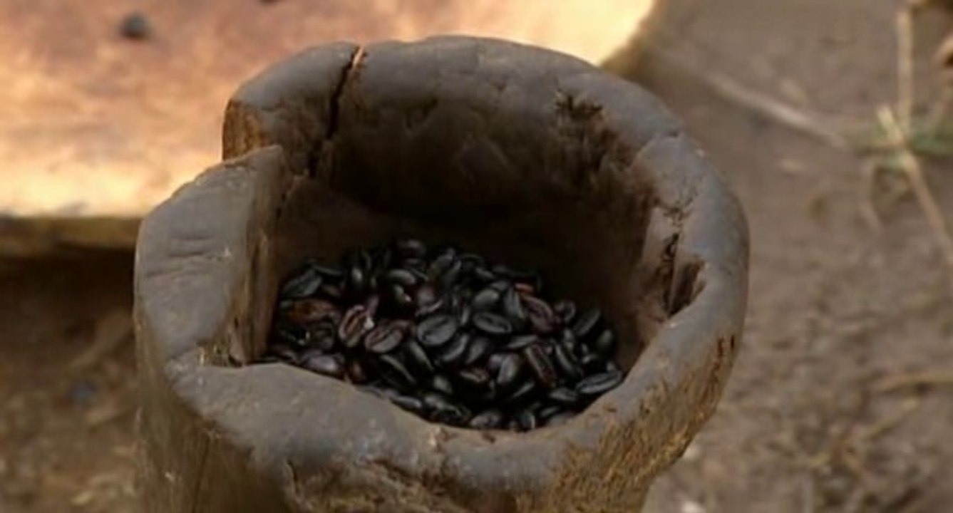 Wo der wilde Kaffee wächst