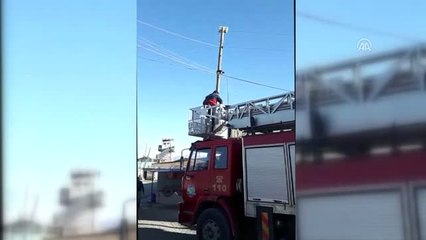 İtfaiyeden Kedi Kurtarma Operasyonu