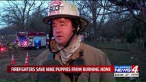 9 Puppies Rescued from Oklahoma City House Fire