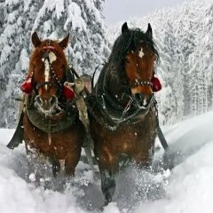 Land For Sale in Montana - Beautiful Wonder