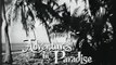 Adventures in Paradise   S03E18   The Velvet Trap