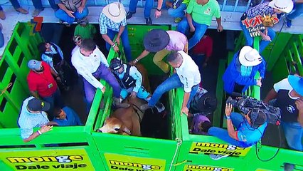 Monta 1 El Pedregaln - Martes 26 Diciembre 2017