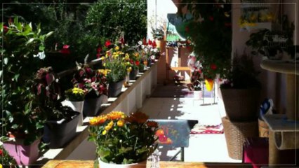 A louer - Appartement - Lutry (1095) - 3.5 pièces - 135m²