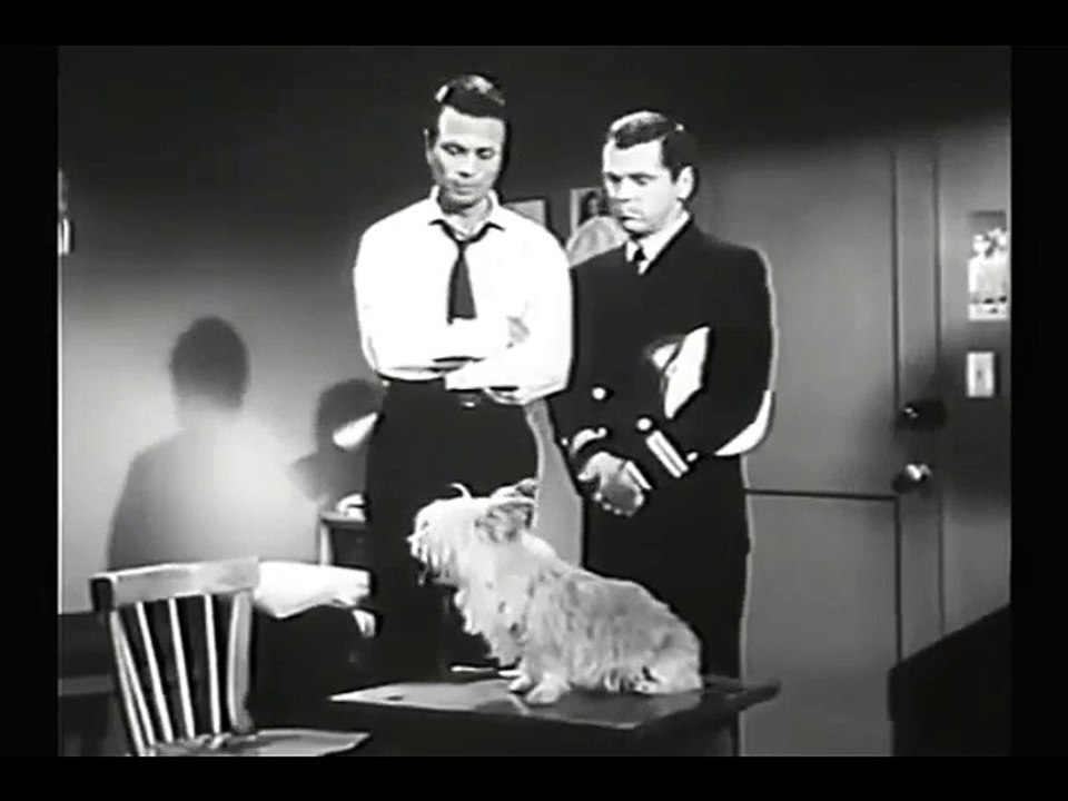 Hennesey   S01E07 Harvey Blair Returns