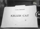 Man Against Crime aka Follow That Man   S04E11   Killer Cat