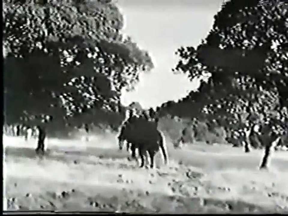 Gray Ghost   S01E02   The Humanitarian