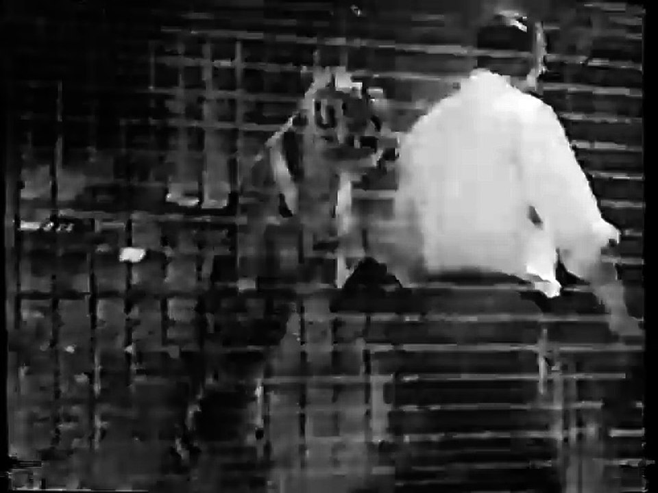 Rescue 8   S01E05   The Cage