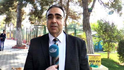 Seçimlerde kaderin belirlendiği oy sandıkları sahipsiz kedilere yuva oldu