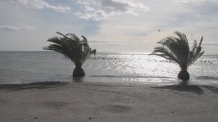 Bruno se va pero aún mantiene en alerta a 20 provincias por viento y nieve