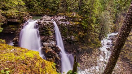 Phule phule dhole dhole bengali song by Pritha - TVFlavors