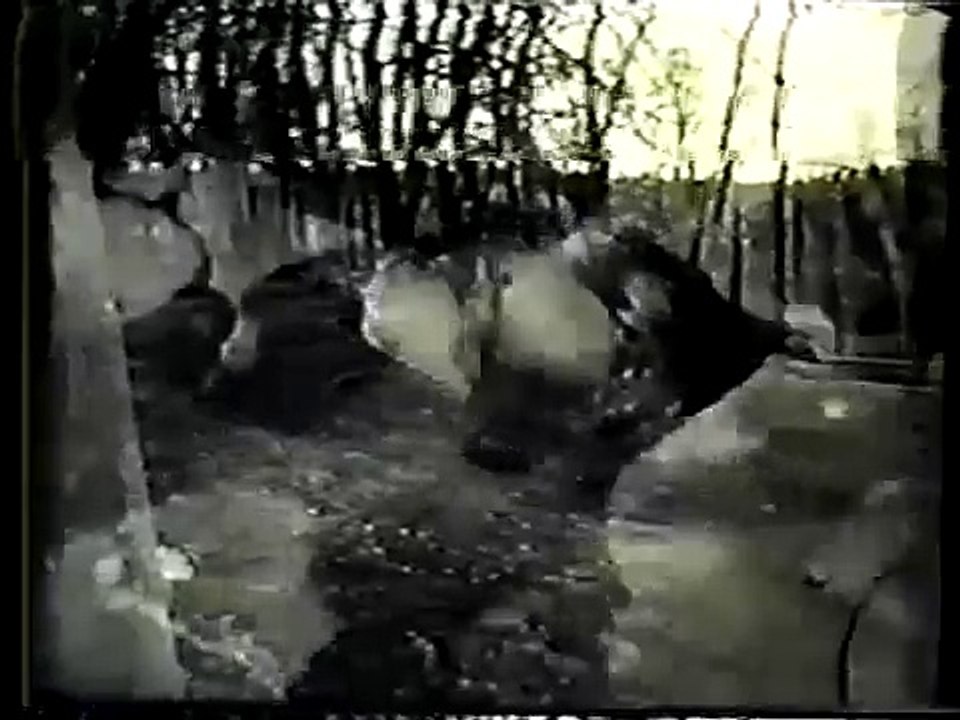 Court Martial   S01E02   Taps For The Sergeant