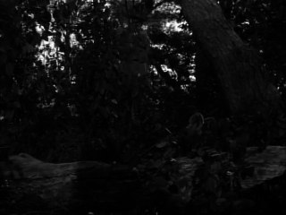 Combat   S02E30   Command...with Joe Campanella