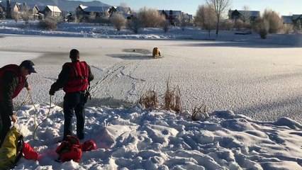 Dog Rescued from Icy Pond in Montana