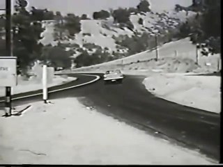 Shannon   S01E03   King Leal Reports