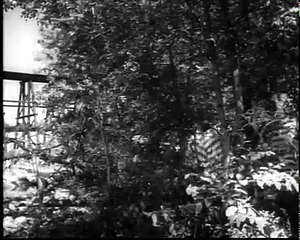 Tales of Wells Fargo   S02E18   Doc Bell