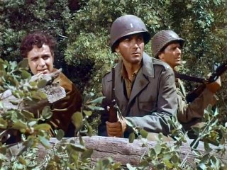 Combat   S05E04   The Brothers...with Sal Mineo, Ted Knight