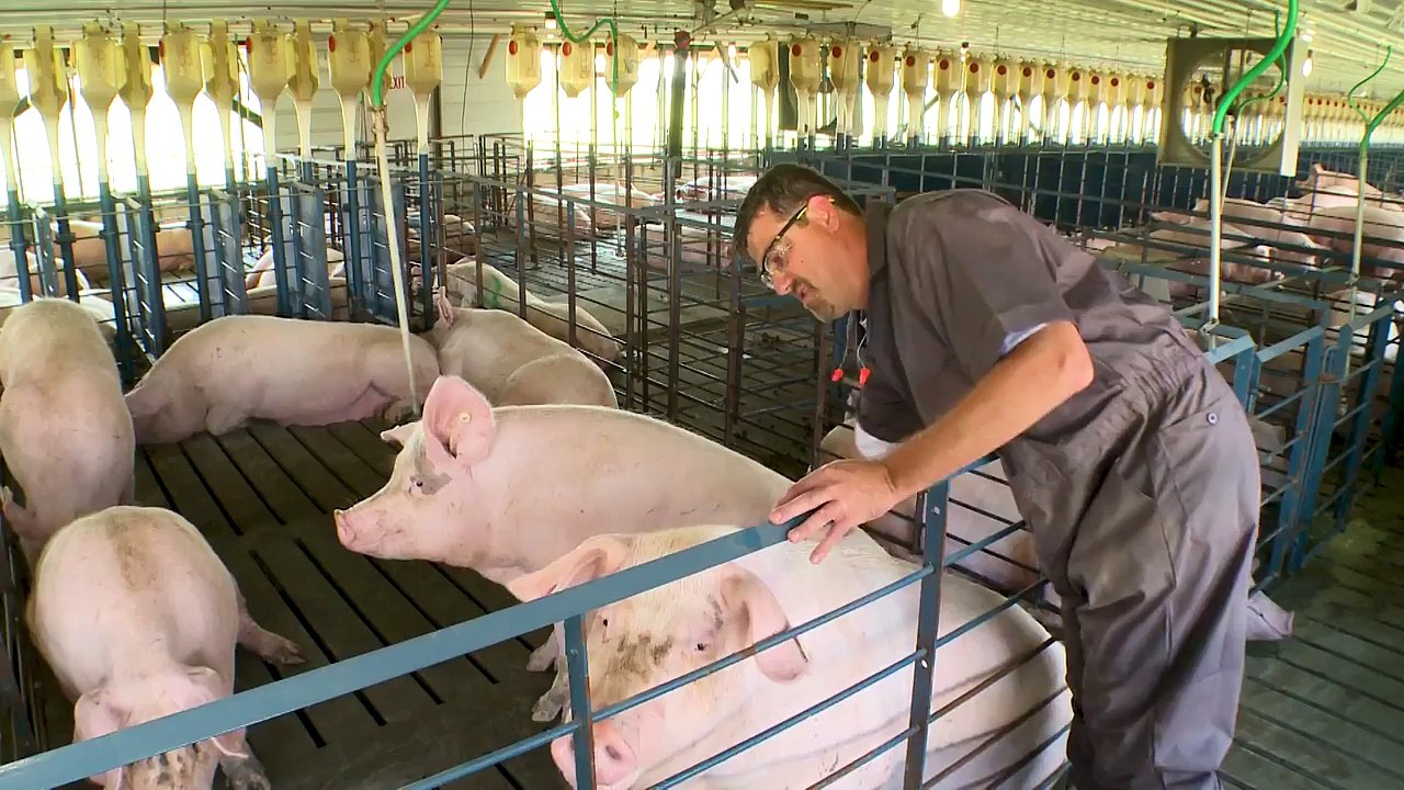 Smithfield Foods: Food Safety and Quality | Smithfield Foods