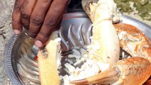 video clip Cách người đàn ông Ấn Độ chế biến món ăn từ con cua cực to
