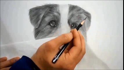 연필드로잉 - 강아지그리기 / How to draw a dog / drawing with pencil
