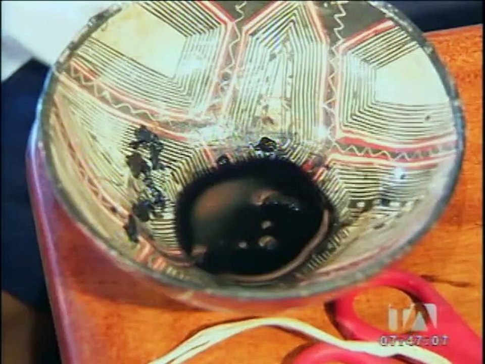 Como proceder a secagem das sementes e durabilidade evitando ser devoradas por formigas ou mais? Vejo são sementes de mamão