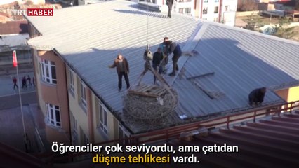 Leylek yuvası vinçle daha güvenli olan bir noktaya taşındı