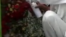 Shocking video of Strawberry getting spray painted to make it look