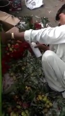 Shocking video of Strawberry getting spray painted to make it look