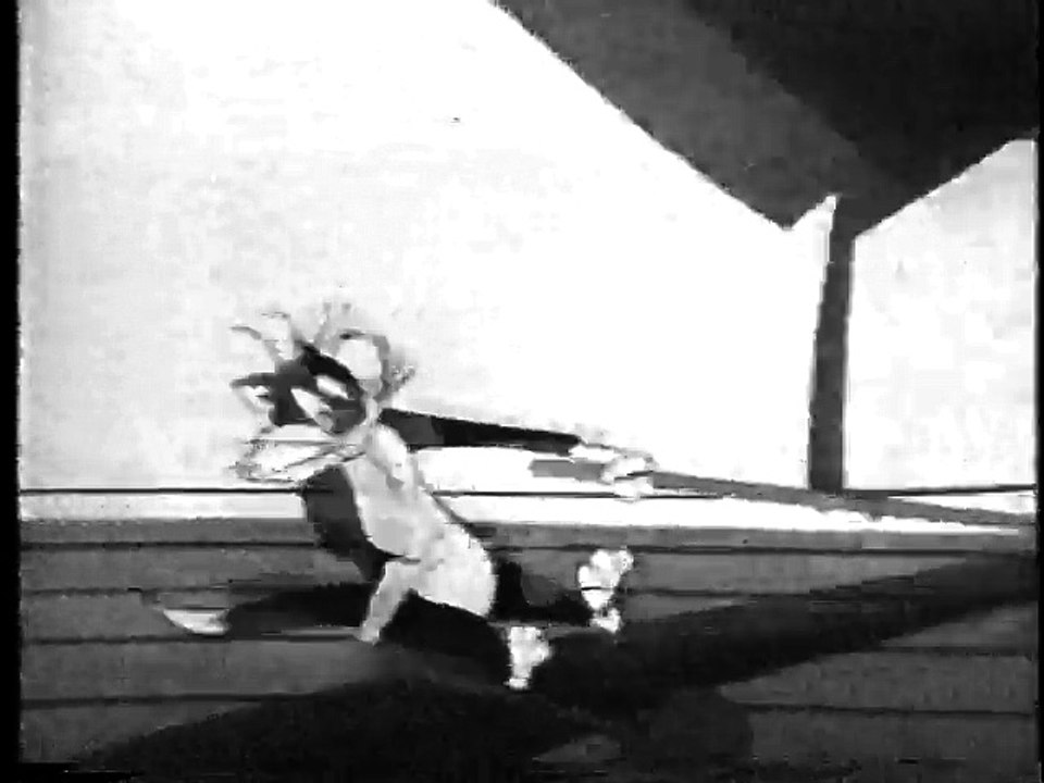 Nbc/ abc/ cbs febuary 1979 part 1