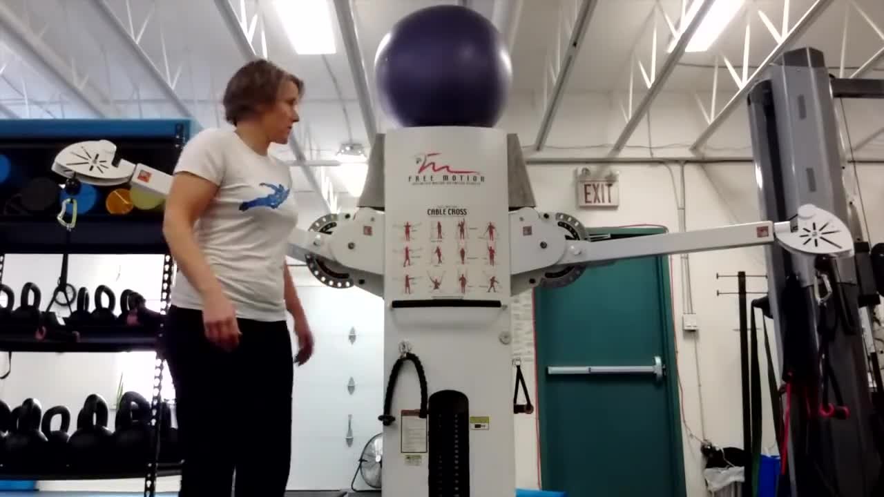Elsbeth Vaino: Cable Push and Pull