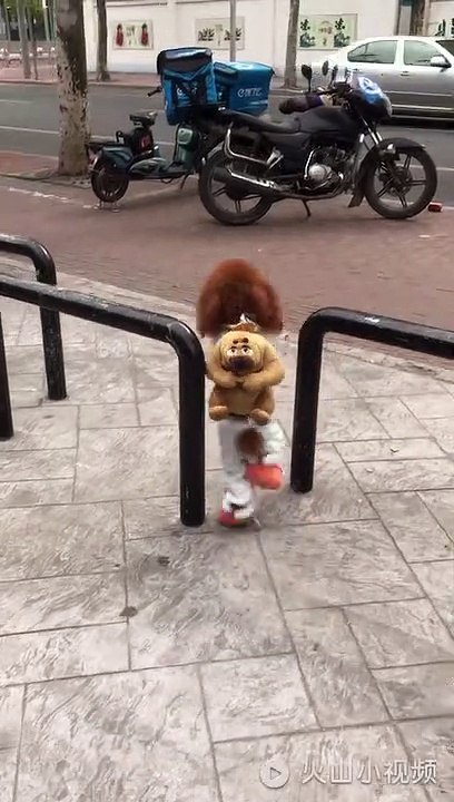 VID-20171219-WA0159