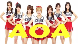 AOA Members Profile | AOA Introduction