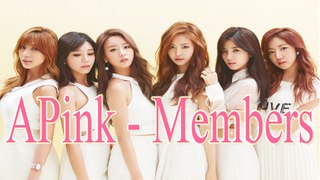 APINK Members Profile 2017 | APINK Introduction