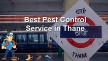 pest control thane, Pest control services in thane,