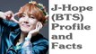 BTS J-Hope Profile and Facts | KPOP Bts