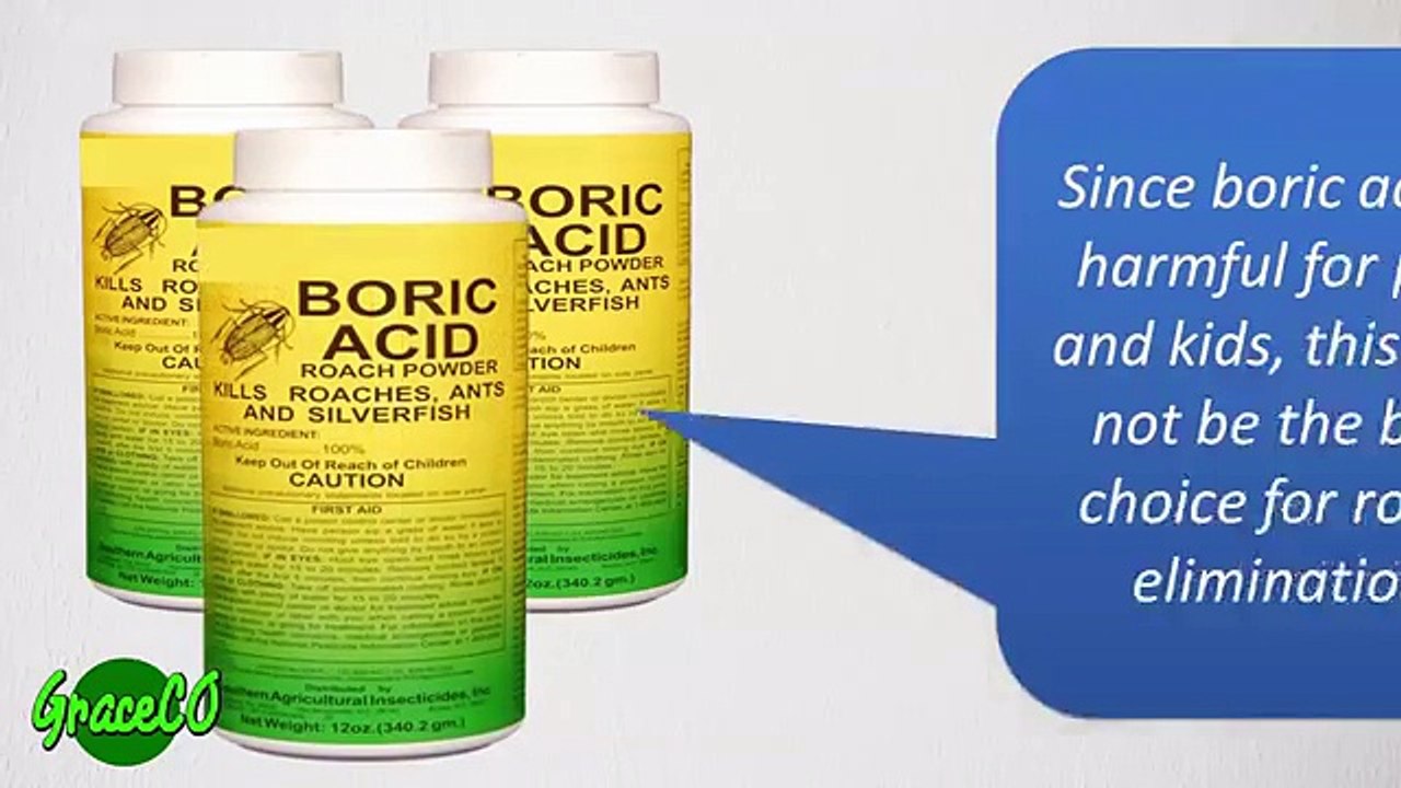 How To Get Rid of Cockroaches With Boric Acid _ Best Way Get Rid Roaches Permanently