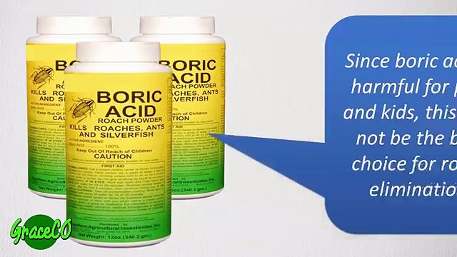 How To Get Rid of Cockroaches With Boric Acid _ Best Way Get Rid Roaches Permanently