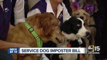 Arizona lawmaker wants to fine fake service pet owners