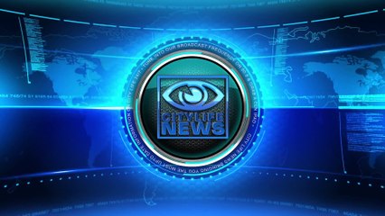 [City Life 3][CLN]Community Celebrates 4th of July