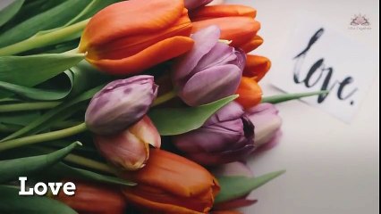 3 Things you will gain once you become a Yoga Teacher. - YouTube (480p)