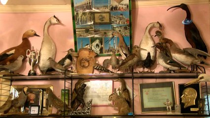 Nesli tükenen hayvanları gelecek nesillere taşıyor